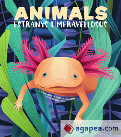 ANIMALS EXTRANYS I MERAVELLOSOS (VVKIDS)