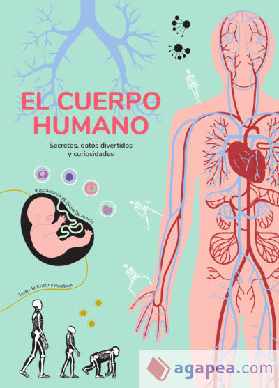 EL CUERPO HUMANO (VVKIDS)