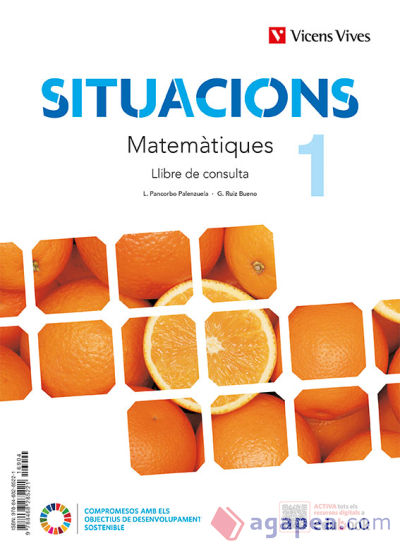 MATEMATIQUES 1 LLIBRE CONSULTA (SITUACIONS)