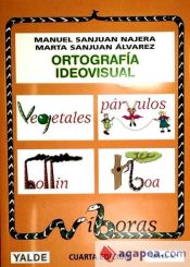 Portada de Ortografía ideovisual, nivel 4