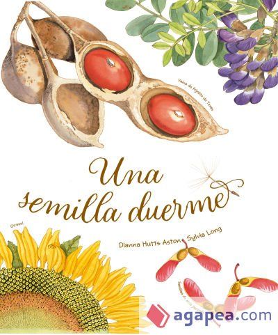 Una semilla dueme