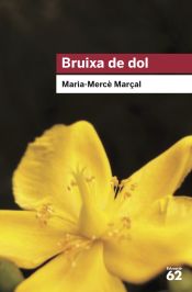 Portada de Bruixa de dol (1977-1979)