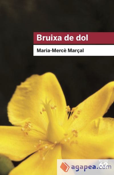 Bruixa de dol (1977-1979)