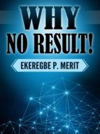 Portada de Why No Result! (Ebook)