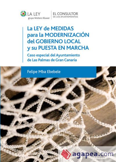 La Ley de medidas para la modernización del gobierno local y su puesta en marcha (Ebook)