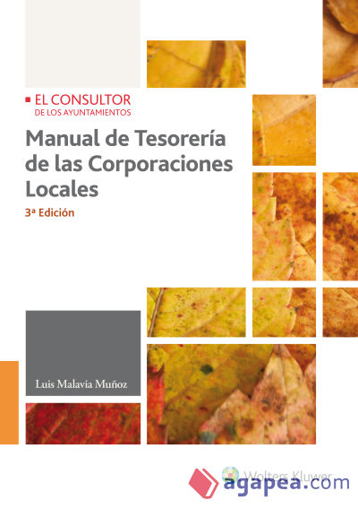 Manual de tesorería de las corporaciones locales 3ª ED