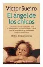 Portada de El ángel de los chicos (Ebook)