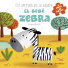 El bebè zebra