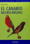 El canario negro-bruno (Canarios de color)