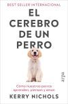 El cerebro de un perro