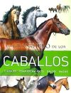 El Gran Libro De Los Caballos