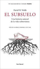 Portada de El subsuelo (Ebook)