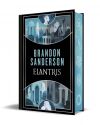 Elantris (edición especial limitada) Elantris (edición especial limitada)