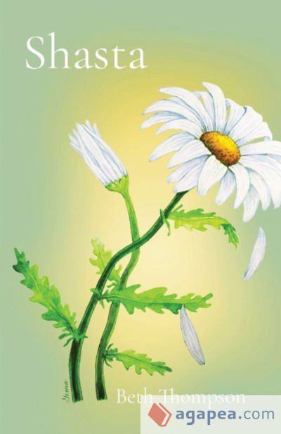 Shasta