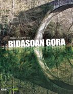 Portada de Bidasoan gora (Ebook)