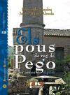 Els pous de reg de Pego i les seues aigües