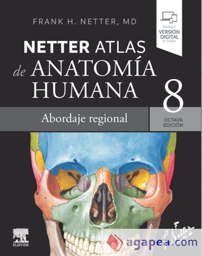 Netter. Atlas de anatomía humana. Abordaje regional