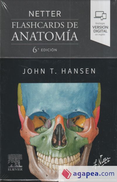 NETTER. FLASHCARDS DE ANATOMIA