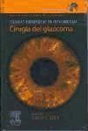 Portada de Cirugía del glaucoma + DVD-ROM