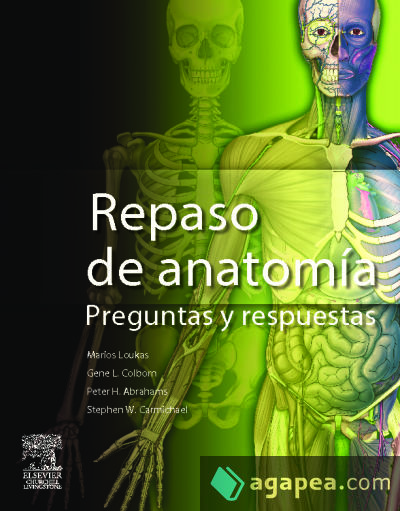 Gray. Repaso de anatomía. Preguntas y Respuestas