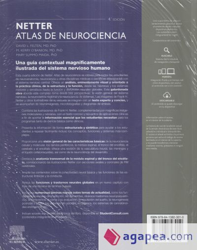 Netter. Atlas de neurociencia (4ª ed.)