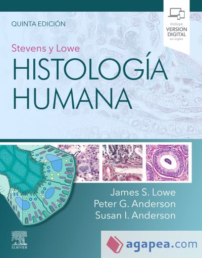 STEVENS Y LOWE. HISTOLOGÍA HUMANA