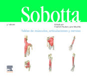 Portada de Sobotta. Tablas de músculos, articulaciones y nervios (3ª ed.)