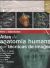Portada de Weir y Abrahams. Atlas de anatomía humana por técnicas de imagen (6.ª Ed), de Peter H. Abrahams