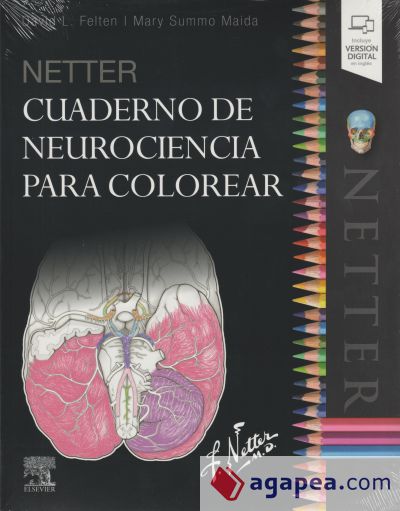 Netter. Cuaderno de neurociencia para colorear