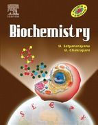 Portada de Carbohydrates (Ebook)