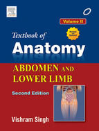 Portada de Front of the Leg and Dorsum of the Foot (Ebook)