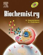 Portada de Overview of biophysical chemistry (Ebook)