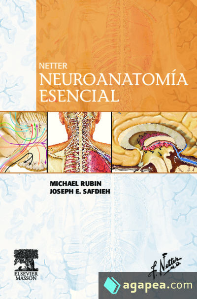 Netter. Neuroanatomía esencial