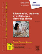 Portada de Réanimation, urgences et défaillances viscérales aiguës (Ebook)