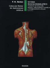 Portada de Sistema musculosquelético. Traumatología, evaluación y tratamiento