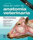 Portada de Atlas en color de anatomía veterinaria. Rumiantes + Evolve (Ebook)