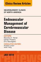 Portada de Endovascular Management of Cerebrovascular Disease, An Issue of Neurosurgery Clinics of North America, E-Book (Ebook)