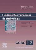 Portada de Fundamentos y principios de oftalmología. 2011-2012 (Ebook)