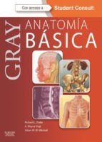 Portada de Gray. Anatom&iacute;a b&aacute;sica + StudentConsult (Ebook)