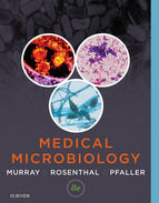 Portada de Medical Microbiology E-Book (Ebook)