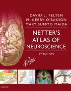 Portada de Netter's Atlas of Neuroscience E-Book (Ebook)