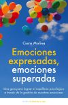 Emociones expresadas, emociones superadas: una guía para lograr el equilibrio psicológico a través de la gestión de nuestras emociones