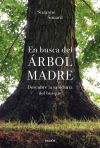 En Busca Del árbol Madre: Descubre La Sabiduría Del Bosque De Suzanne Simard