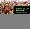 Energía sin CO2