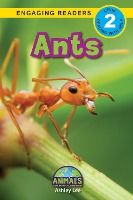 Portada de Ants