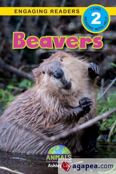 Beavers