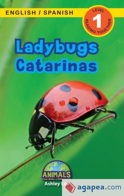 Ladybugs / Catarinas