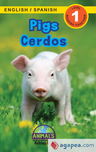 Pigs / Cerdos