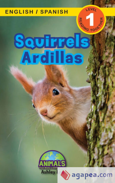 Squirrels / Ardillas