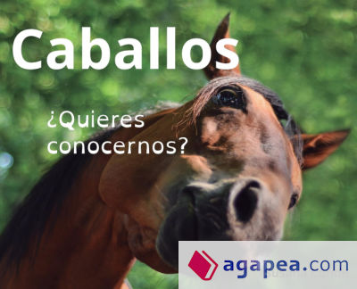 Caballos